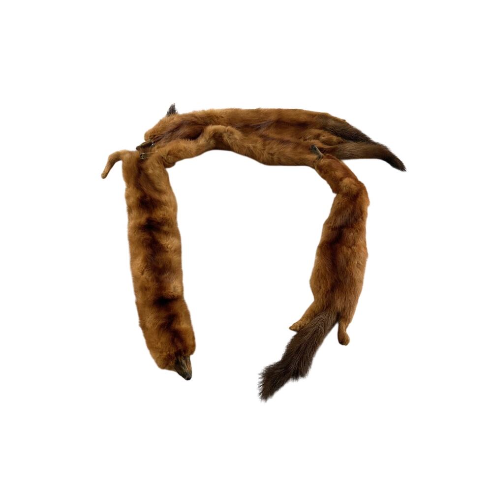 Mink Pelt Stole Four Full Connecting Red Minks Tails Feet Mouth Clip Vintage
